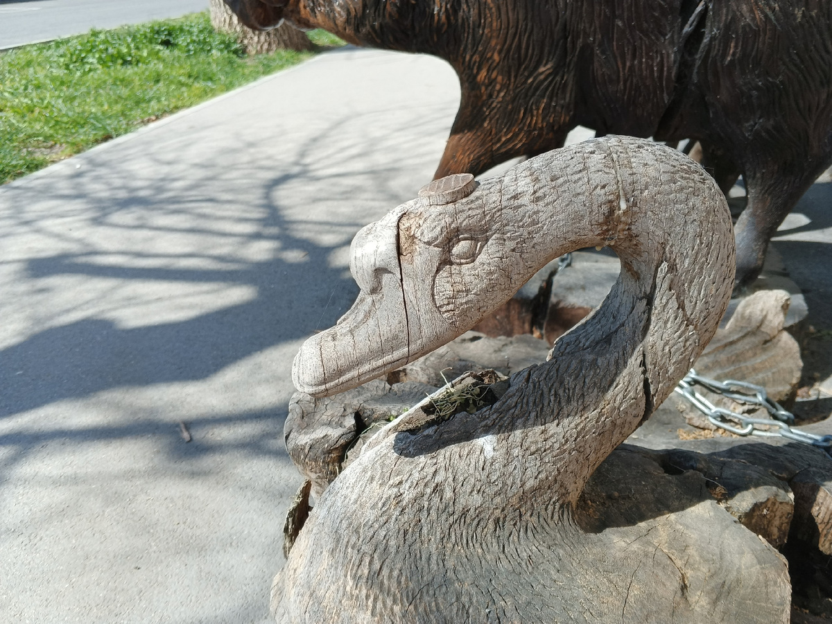 Фото Галины Малышевой.