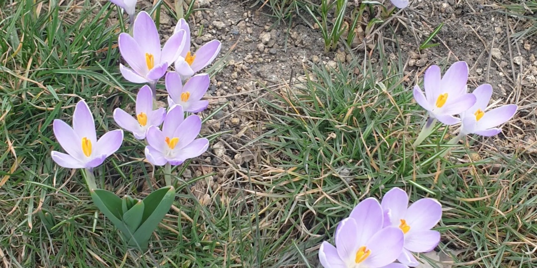 Сродниться с одиночеством? Это возможно? Да