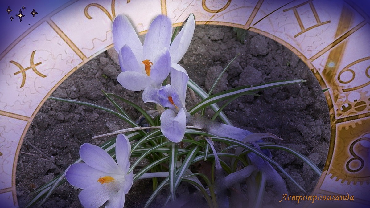 Гороскоп на неделю с 30 марта по 5 апреля 2026: Венера переходит в знак Тельца | Недельный гороскоп