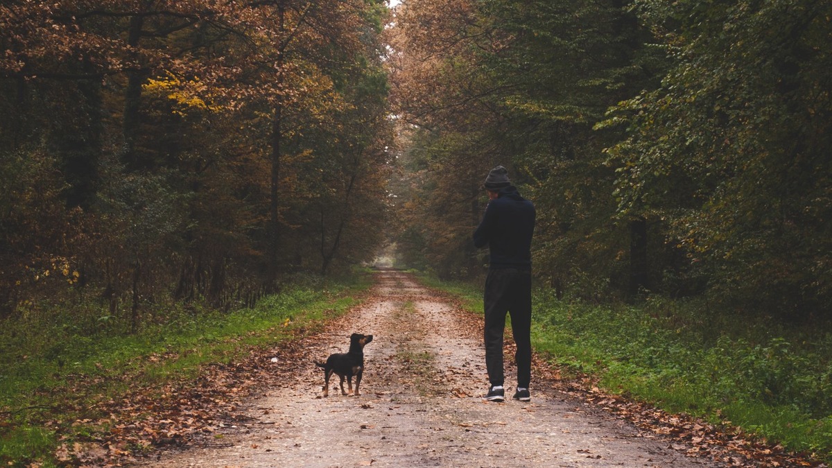   Оказалось, собаки были с нами дольше, чем мы предполагали