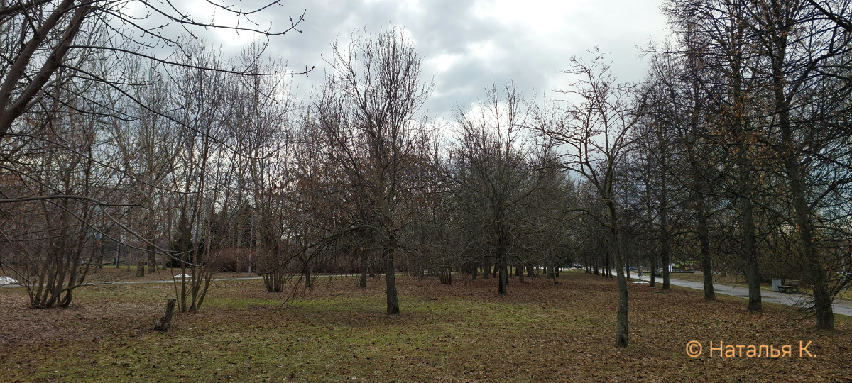 Фото автора канала. Парк.