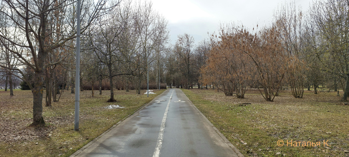 Фото автора канала. Велосипедная дорожка в парке.