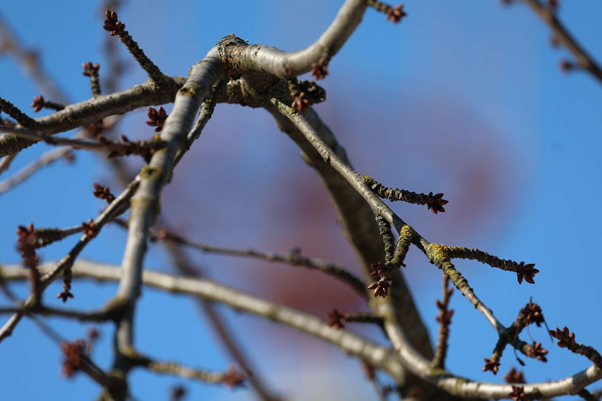  © Павел Орловский, Times.by