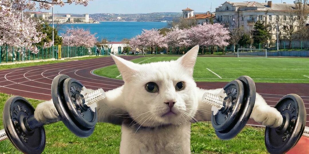 Севастополь вошёл в число самых «стройных» регионов России