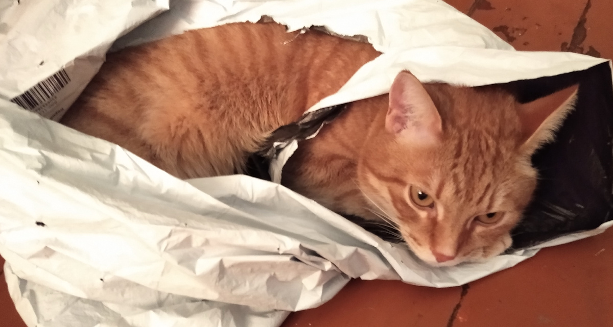 личное фото