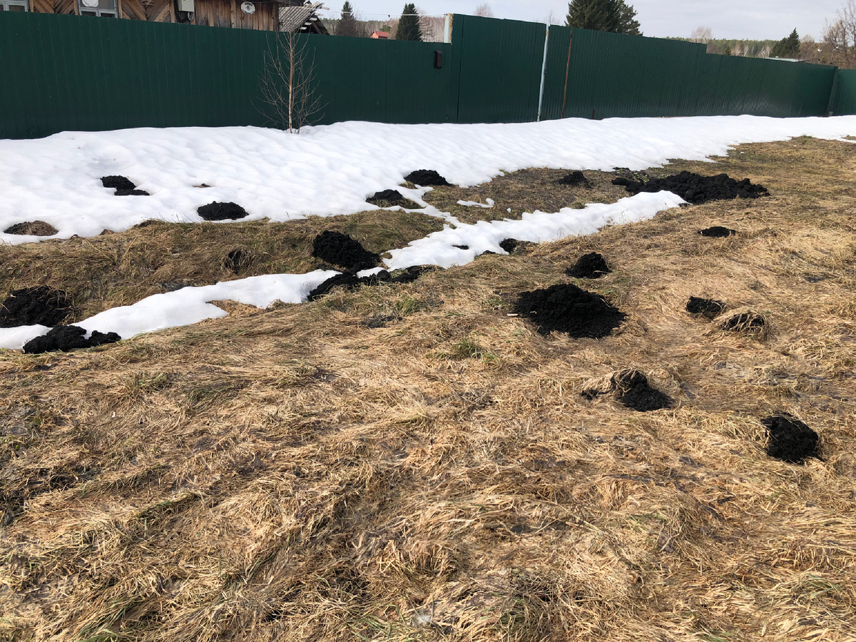 У нас в посёлке