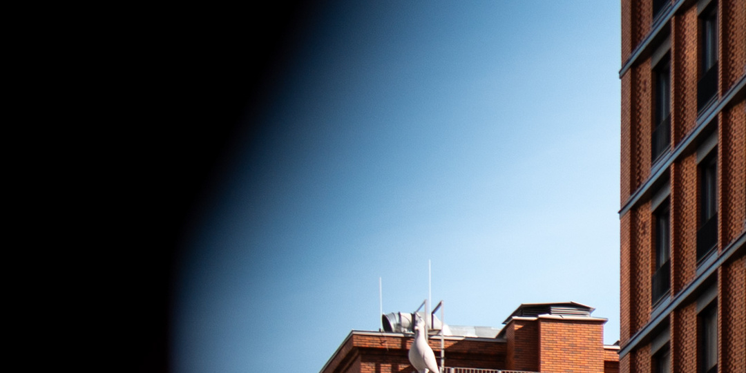 Эмоциональная Лейка - 2