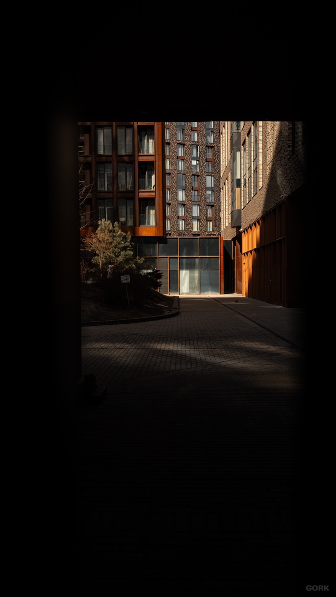 Фото: GORK  | Гео: Москва, RU