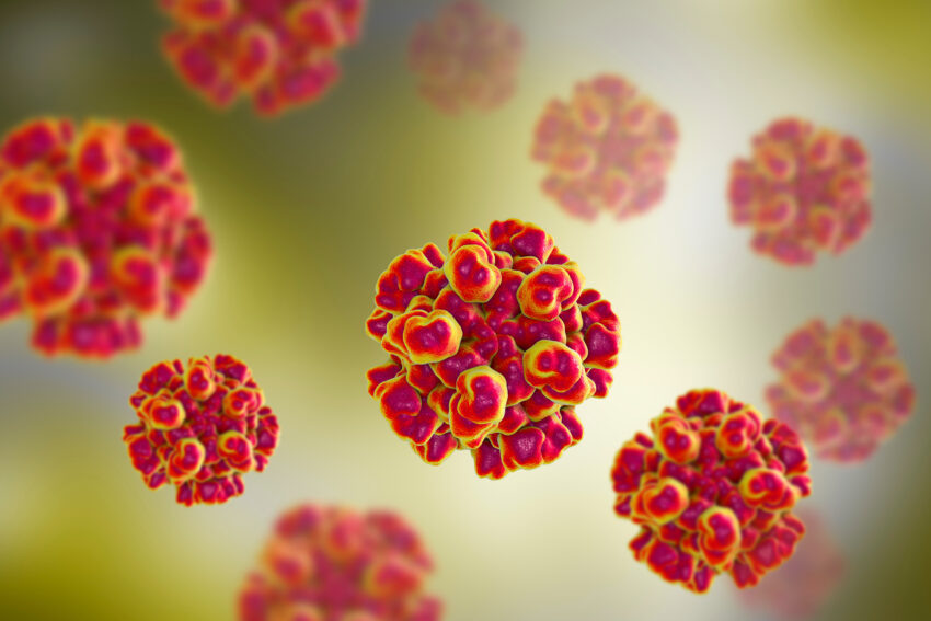     На сегодняшний день не существует ни широко доступной вакцины, ни специфического лекарственного препарата для лечения гепатита Е. Фото: Shutterstock