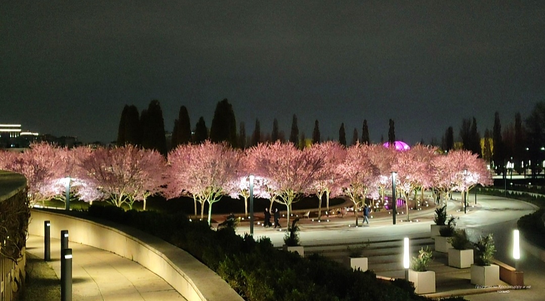 🌸💖🌸💖🌸💖🌸💖🌸