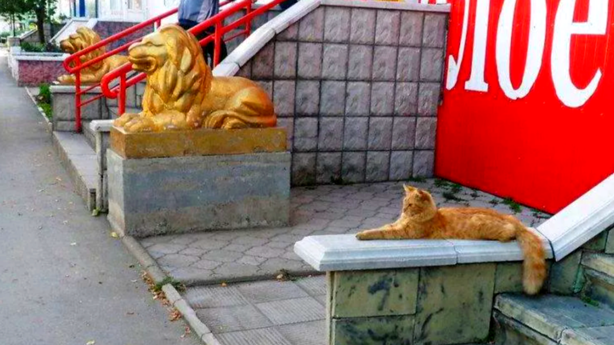 Когда наврал в резюме, но все равно принят на работу!