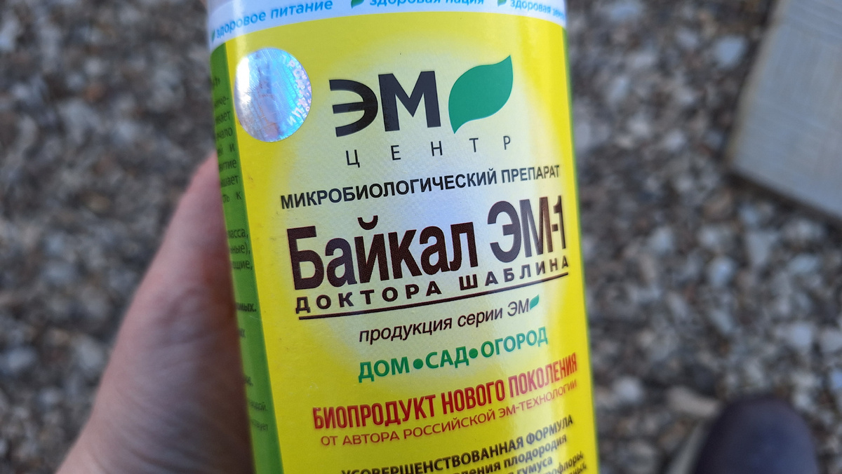 Фото автора. Микробиологический препарат