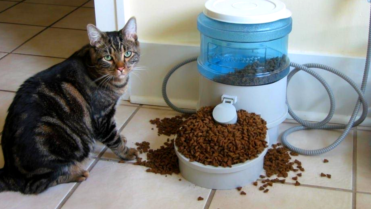 Я  её починил... Теперь не жадничает! ЕЩЕ фото --->>