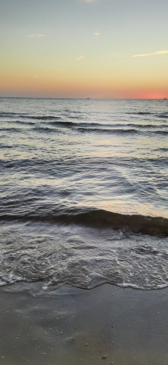 Центральный пляж. 8 июля