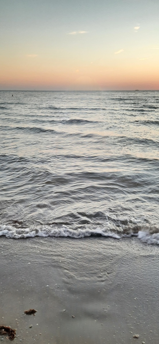 Есть небольшие комки водорослей, которые выбрасывает на берег, но их очень мало.