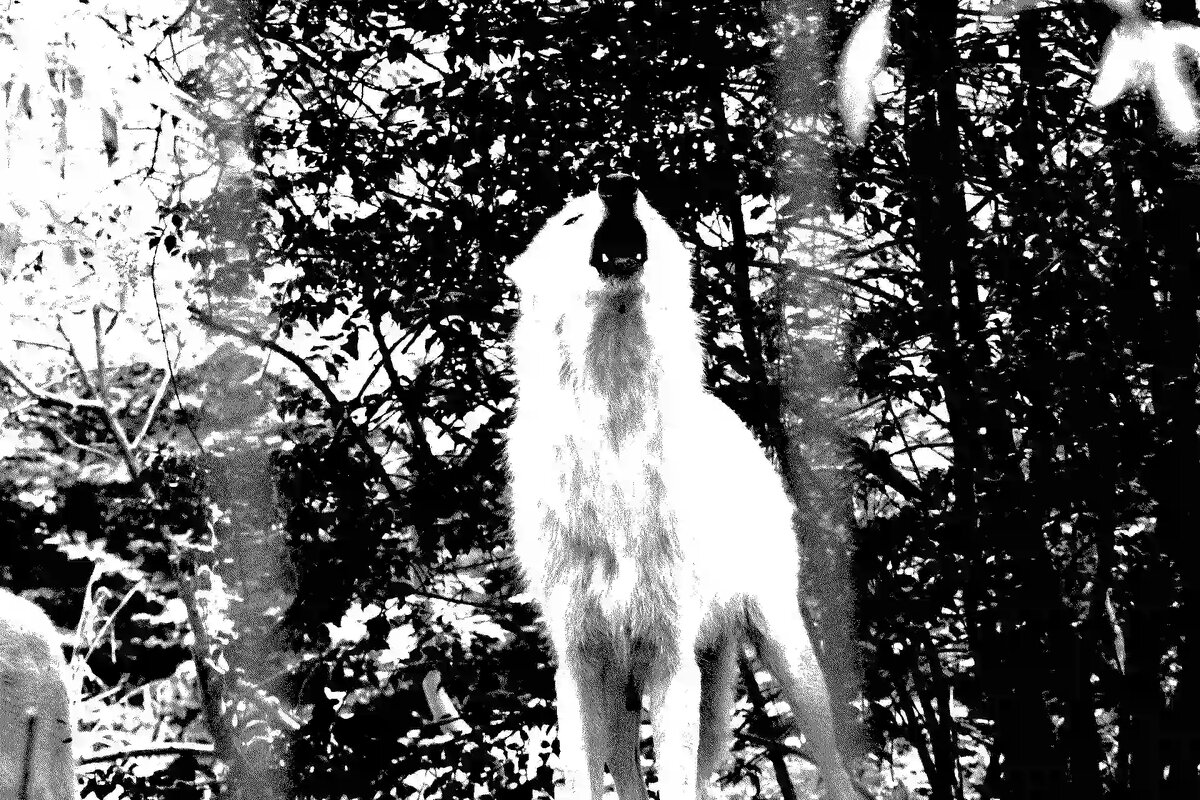 Изображение используется в соответствии с лицензией стогового сайта unsplash.com 