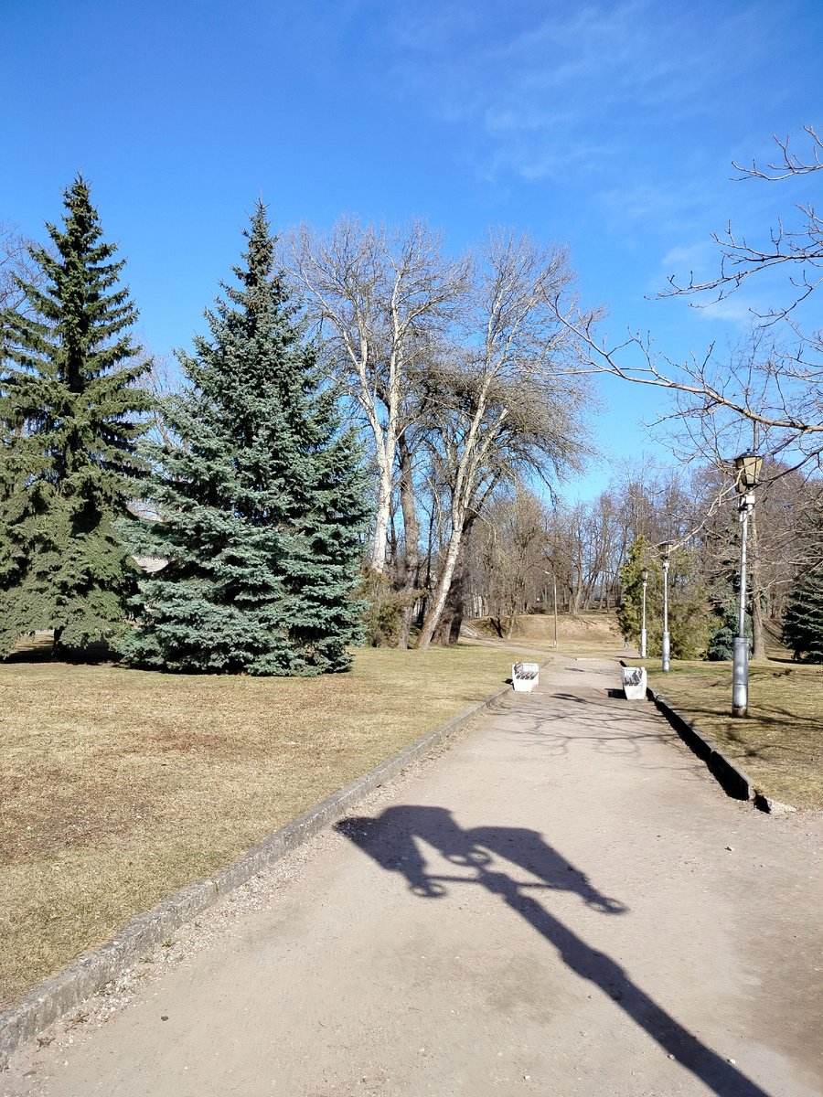 За спиной остался Октябрьский проспект и памятник "Пушкин и крестьянка"