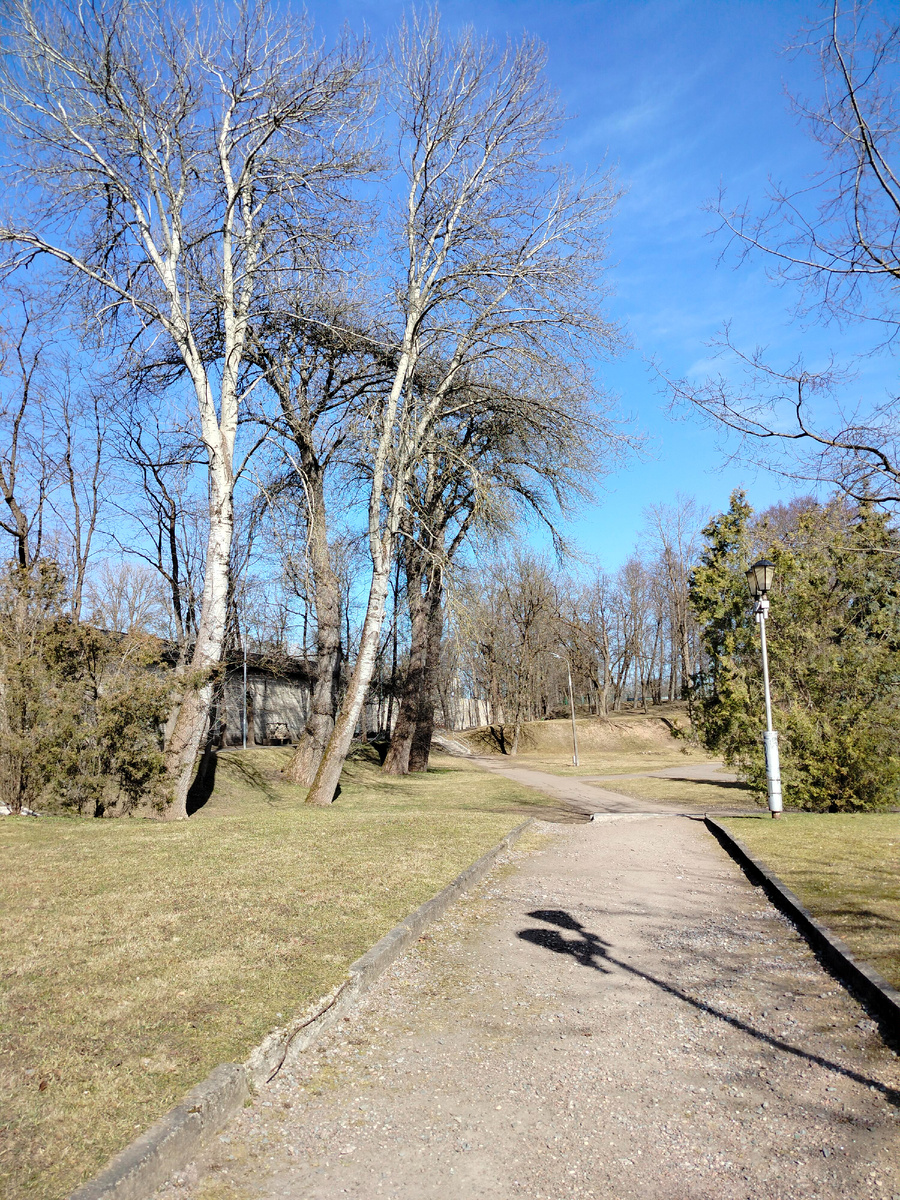 Летом здесь зелено, деревья есть очень интересные, но и сейчас приятно гулять