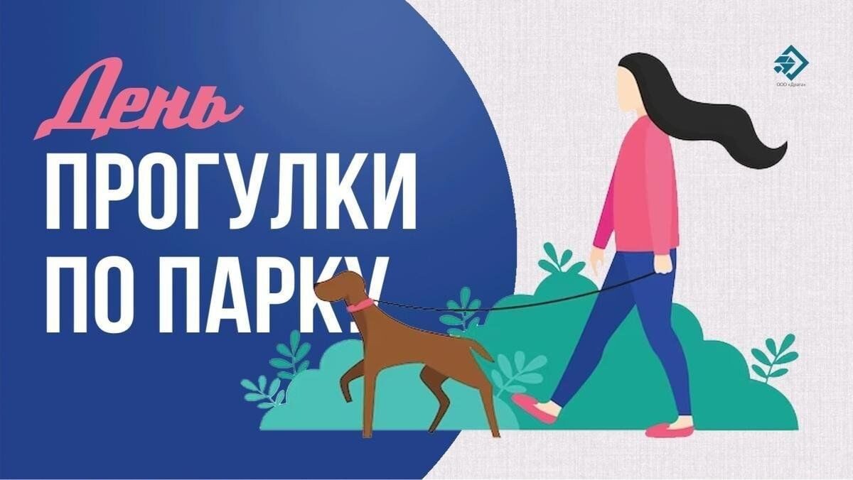 Картинка из интернета