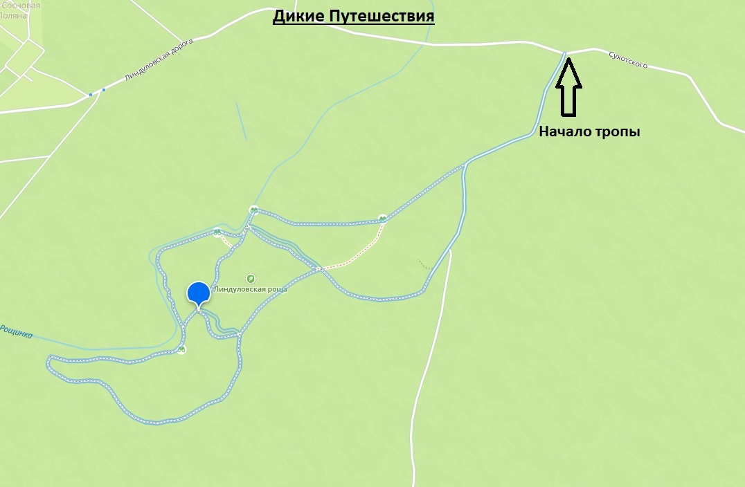 Маршрут №4: Линдуловская роща