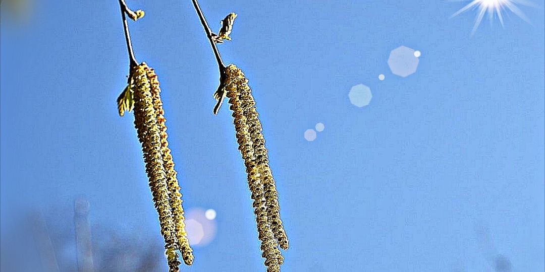 Больничный вальс ... Рассказ