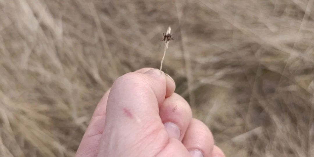 Мои выходные