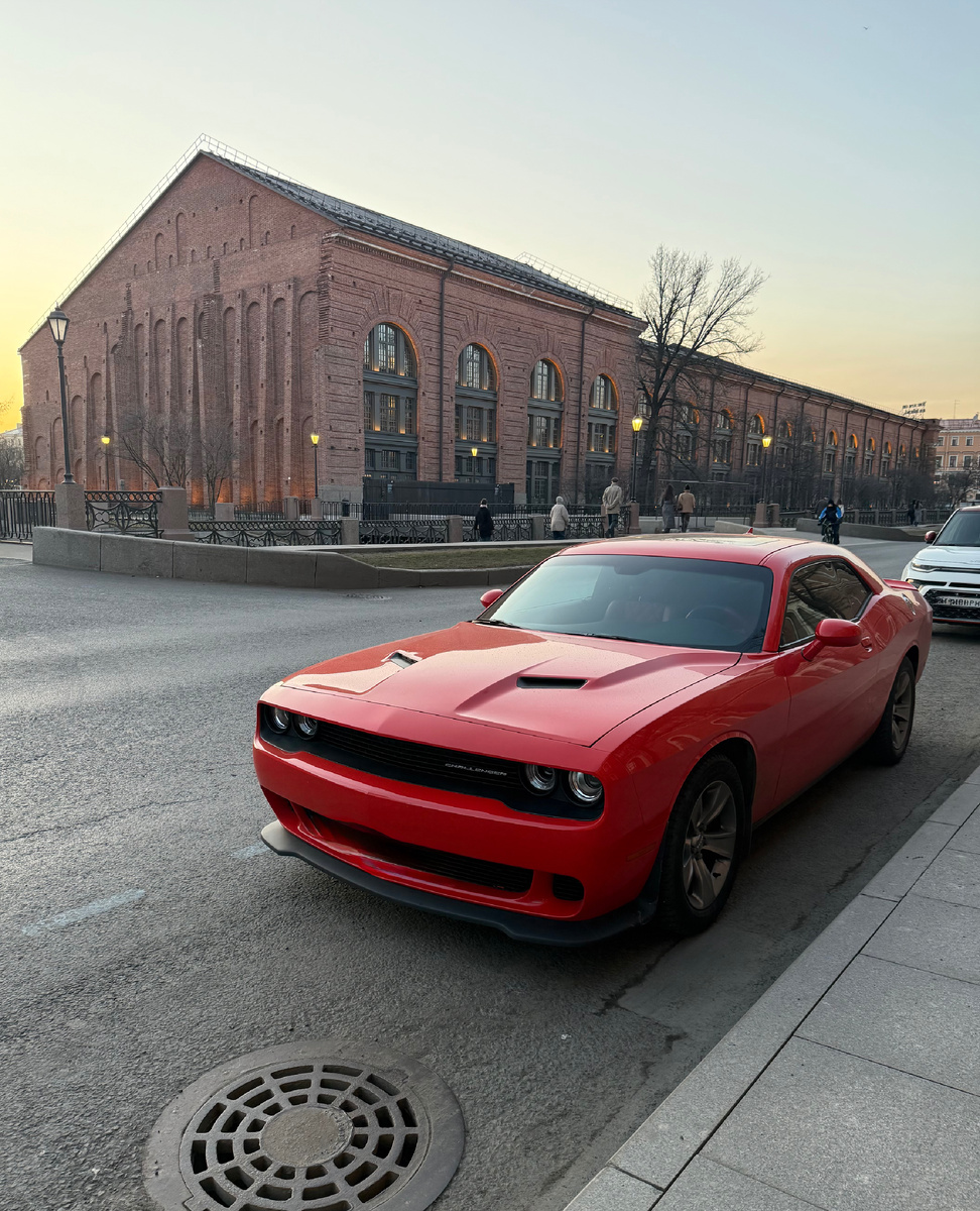 Сфоткала красавца на одной из наших вечерних прогулок 😍