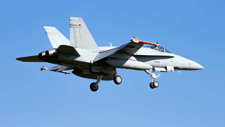    Автор фото: VanderWolf Images/Shutterstock/FOTODOM