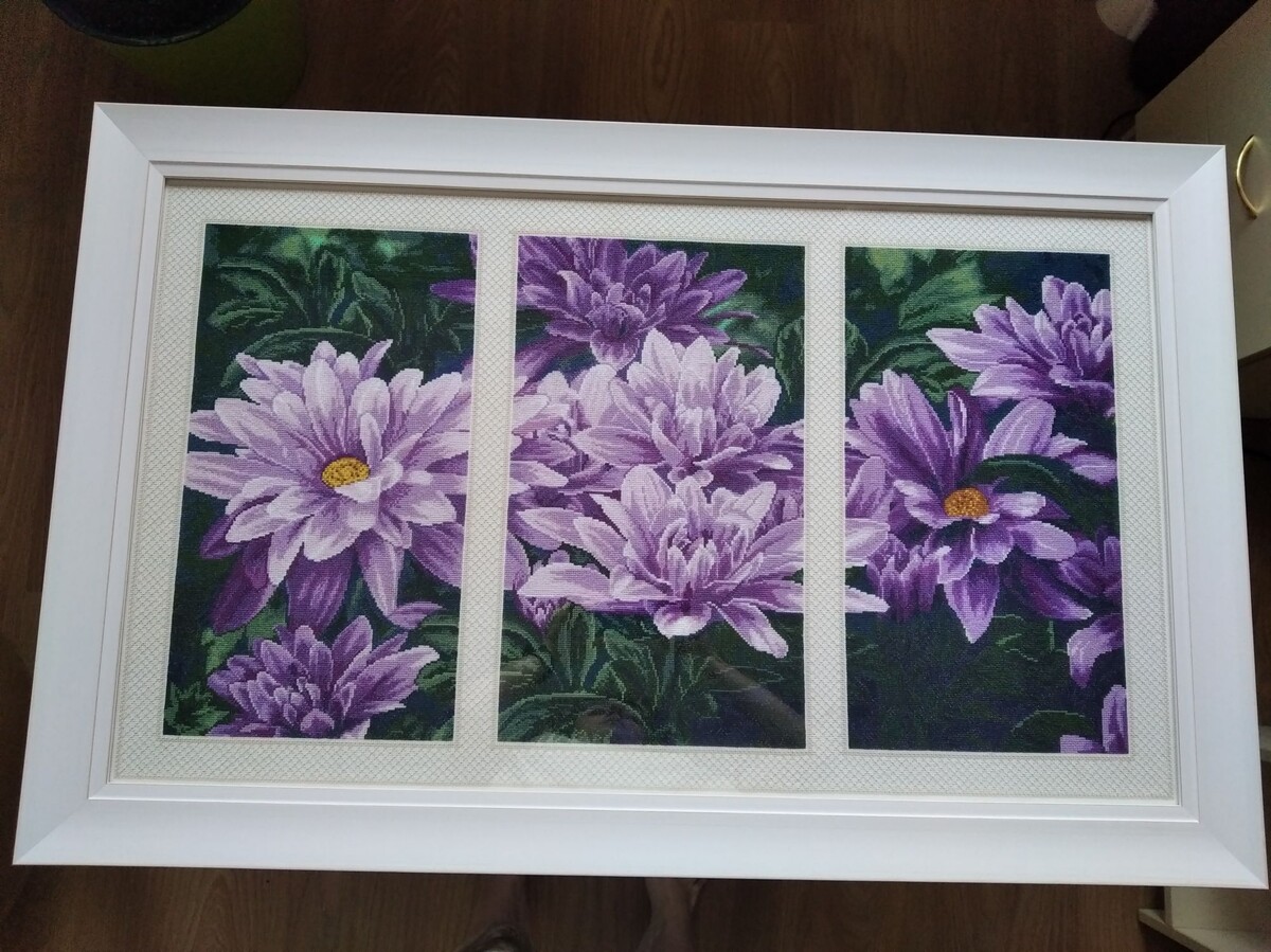 Золотое Руно Т-007, Фиолетовое настроение