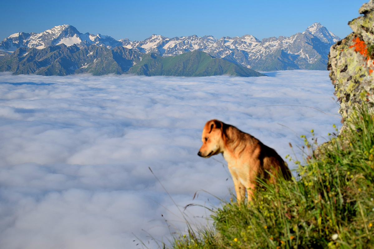 Архыз. Фото автора