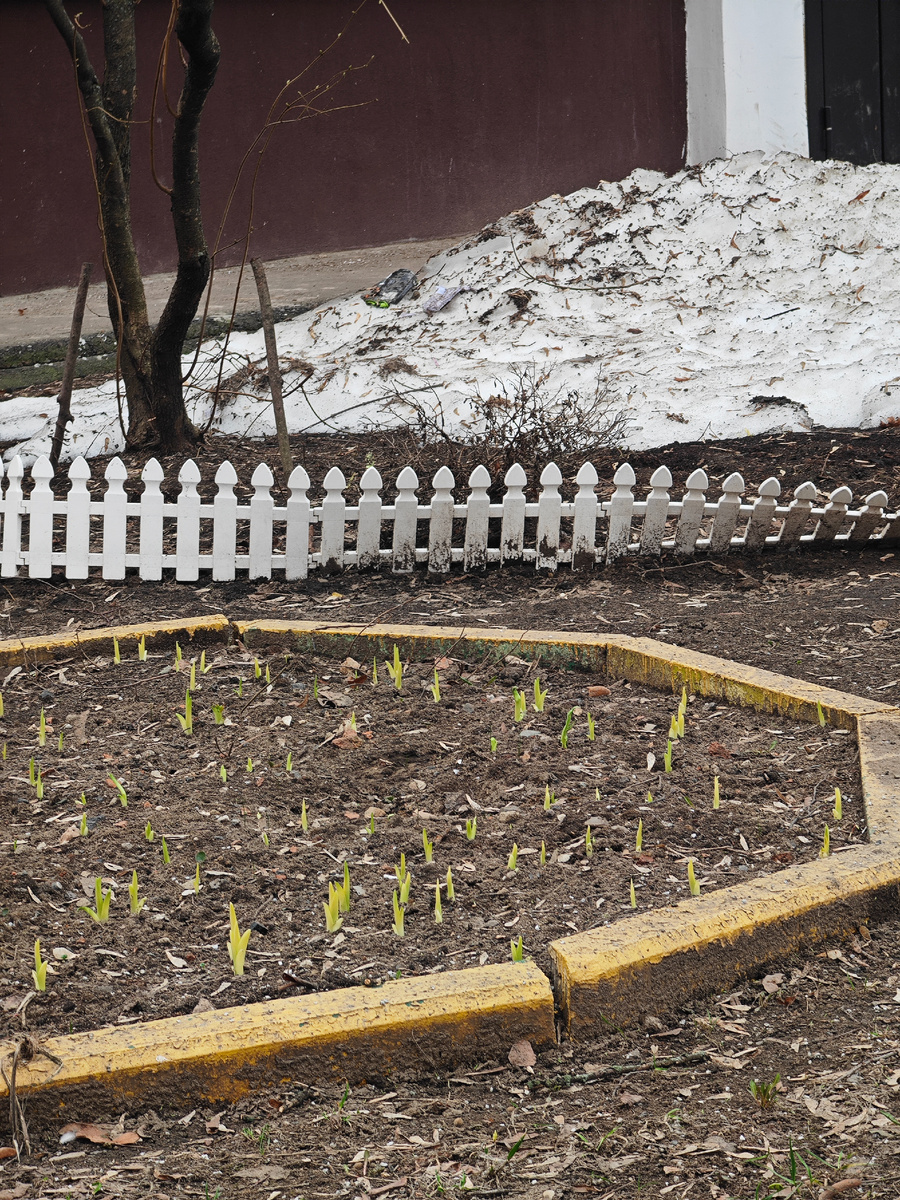 Фото автора канала 