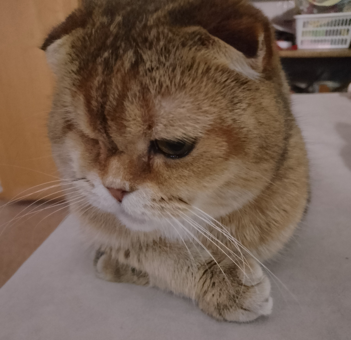 И больше не ори на меня, Наташа, не забывайся! В другой раз не прощу