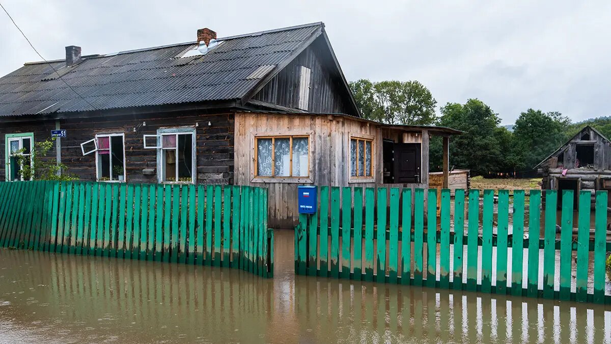    Источник: vm.ru/ Денис