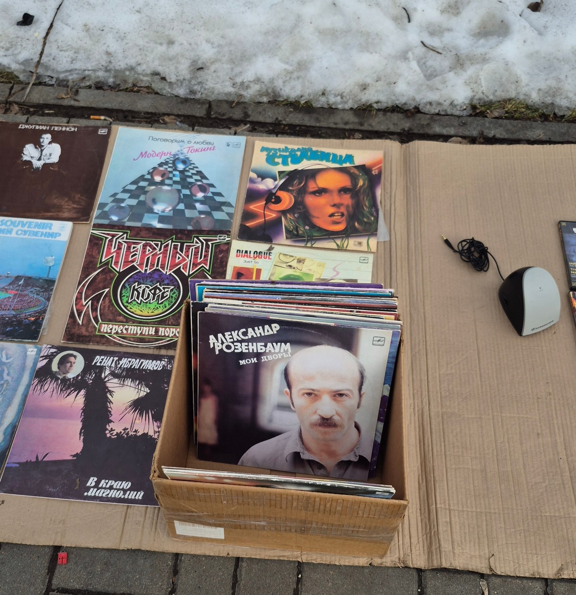 Обнаружила, что Розенбаум в молодости очень похож на А.