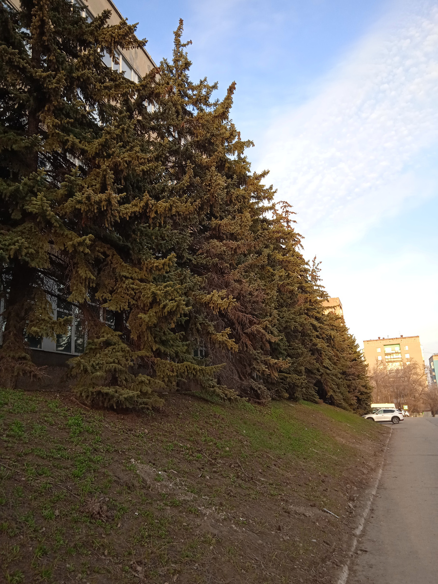 Фото автора канала. 