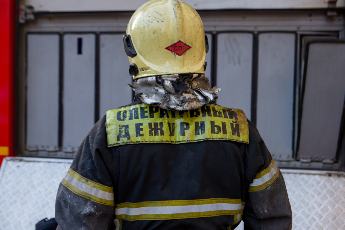 Автор: Олег Золото