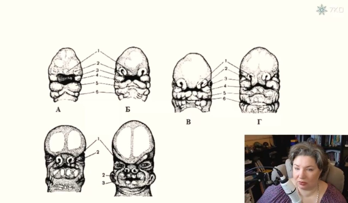 Листайте карусель