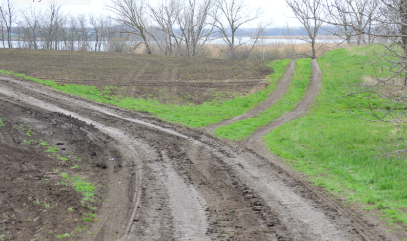 Фото автора. 29.03.2026. Полевые дороги.