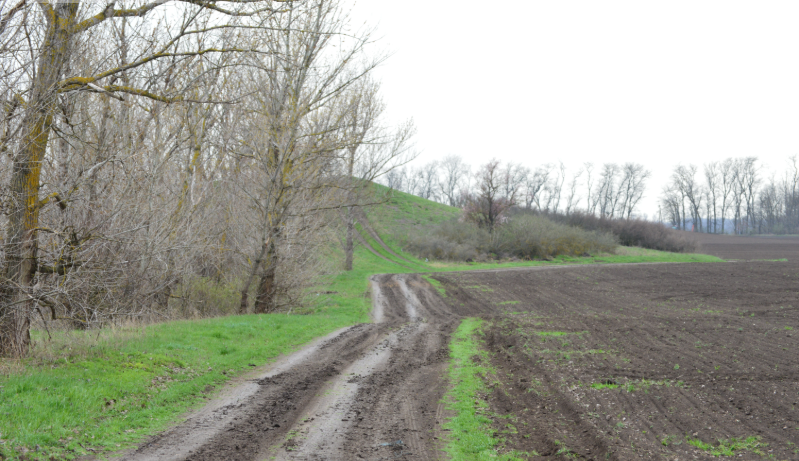 Фото автора. 29.03.2026. Полевая дорога с крутым подъёмом.