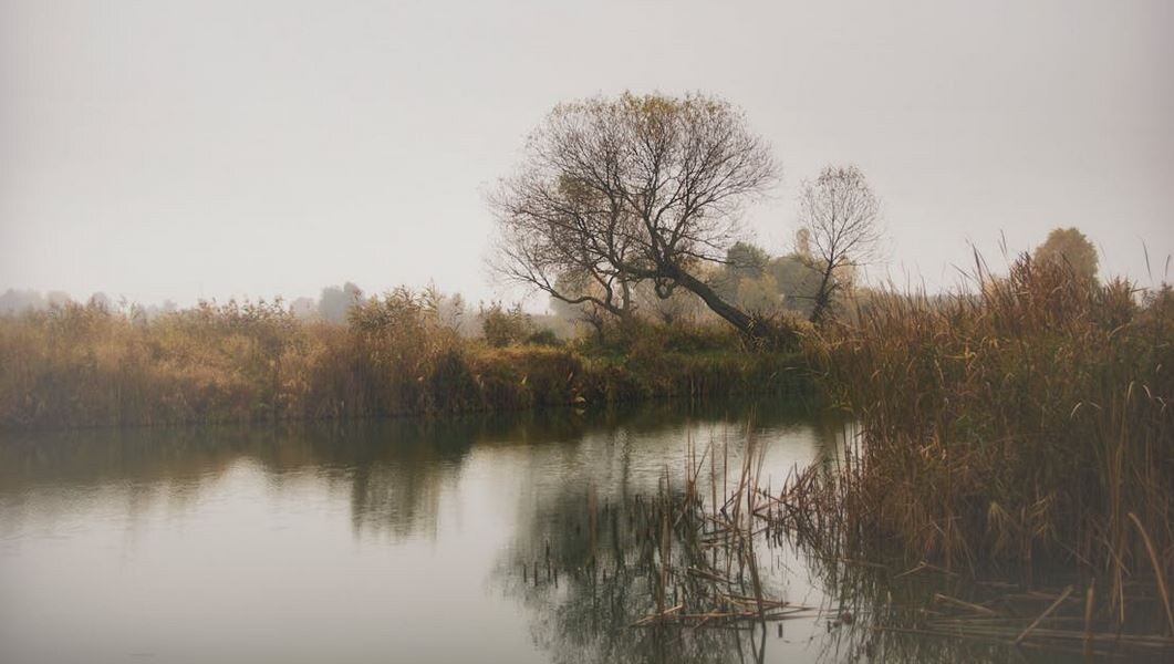 Туман не знает, что он мешает. Он просто существует — и к восьми утра его уже нет.