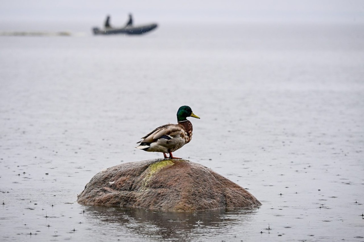    Фото: "Республика"/ Сергей Юдин