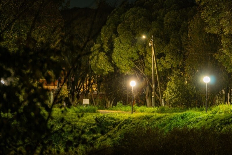 В Харовском округе временно отключили уличное освещение ради экономии