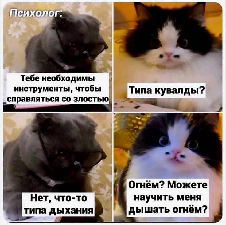 Источник для фото найден на просторах Интернета в открытом доступе yandex.ru