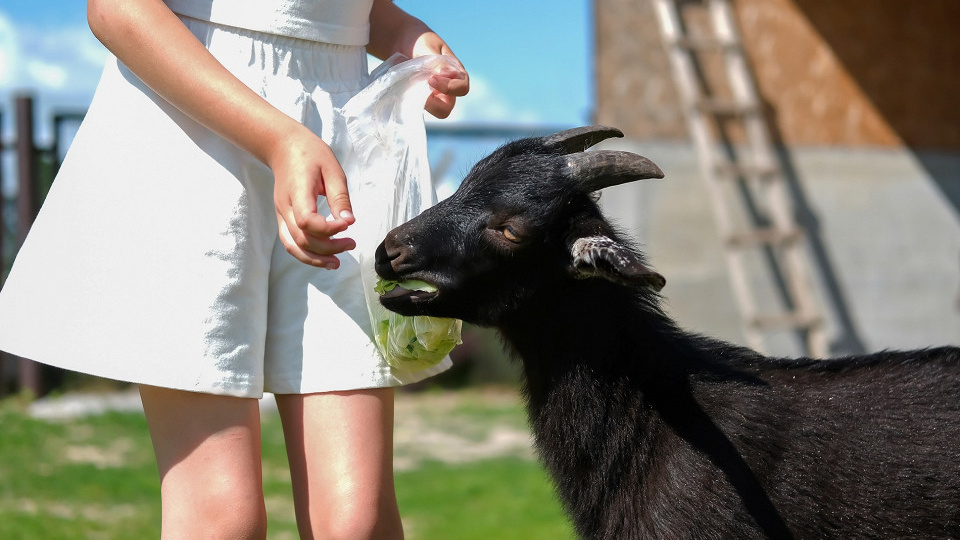 Самые странные ту­рис­ти­чес­кие трен­ды 2026