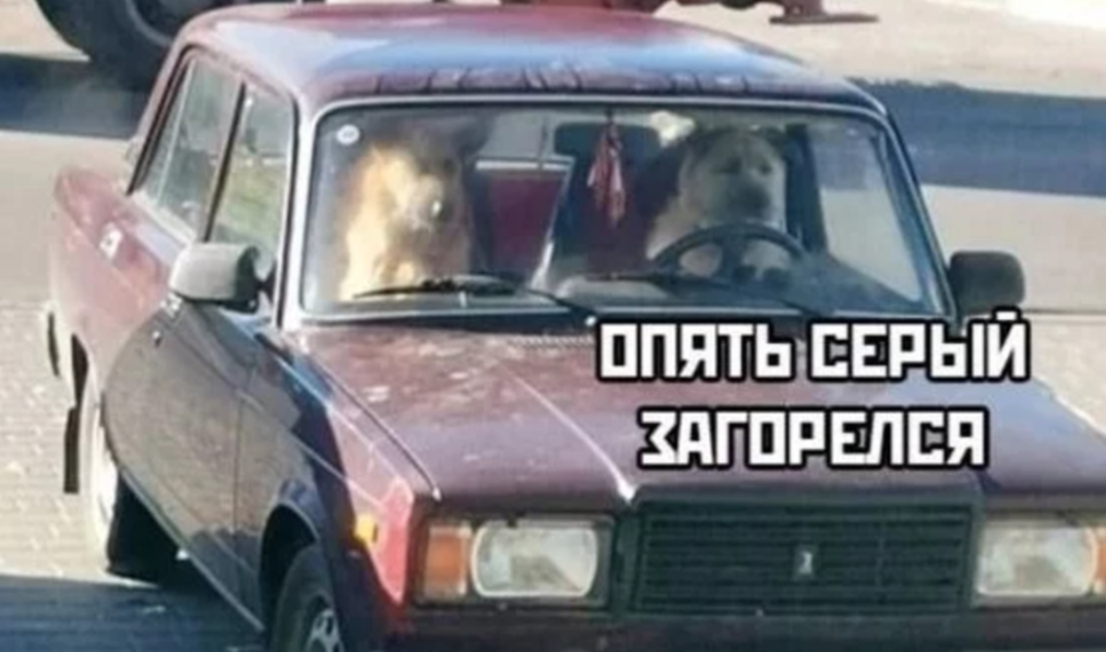 Зеленый для всех разный