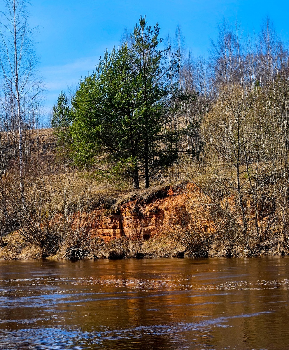 Обнажение красного песчаника на реке Тосна