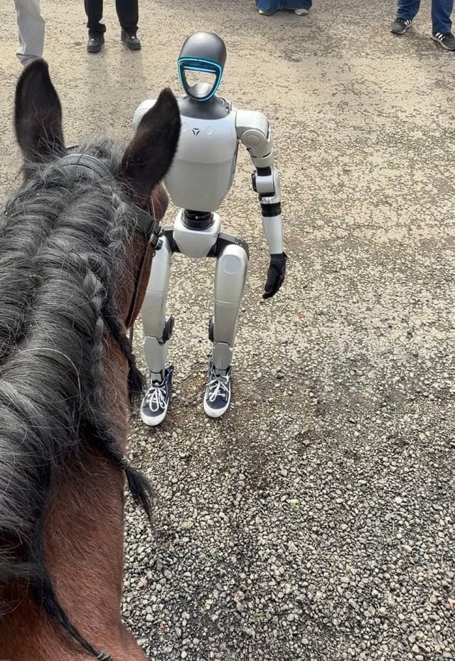    @sammyfam (Telegram*)