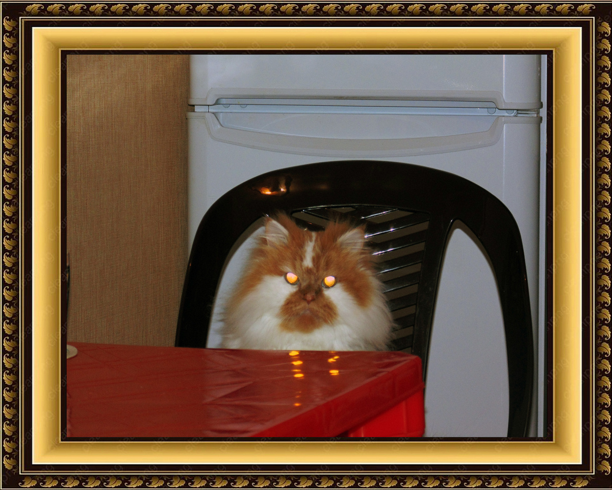 Фото из архива Ивановых и Рыжковых – КУЗЯ, 2016