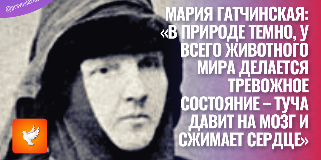 Мария Гатчинская: «В природе темно, у всего животного мира делается тревожное состояние – туча давит на мозг и сжимает сердце»