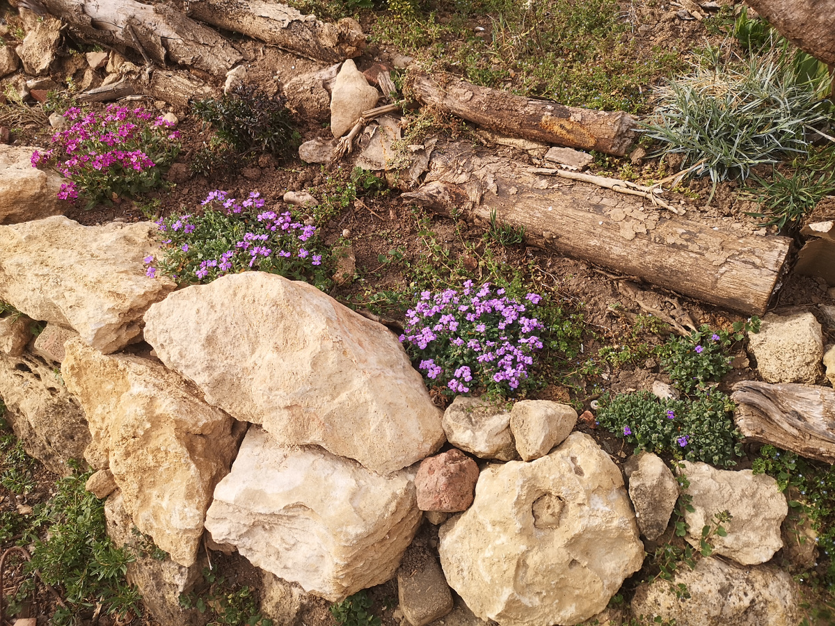 Обриетта набирает разгон